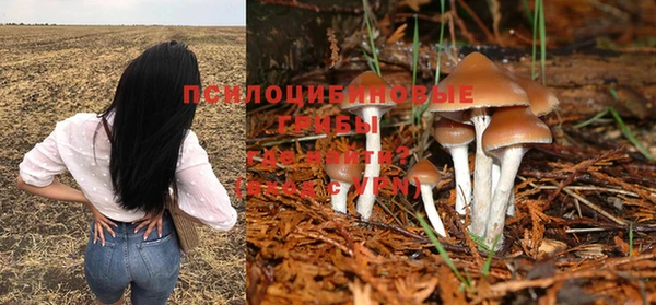 синтетический гашиш Козловка